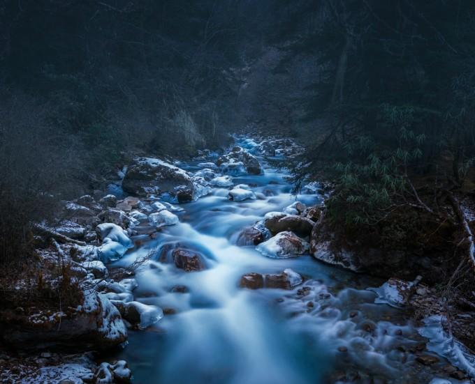 探索问答|打死一只蜜蜂会引来蜂群吗?——发现你想知道的答案